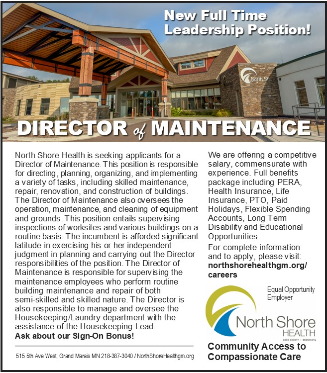 DIRECTOR OF MAINTENANCE